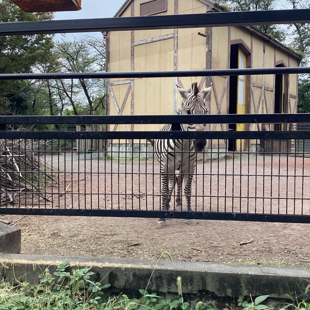 公園でお弁当☆羽村市動物公園