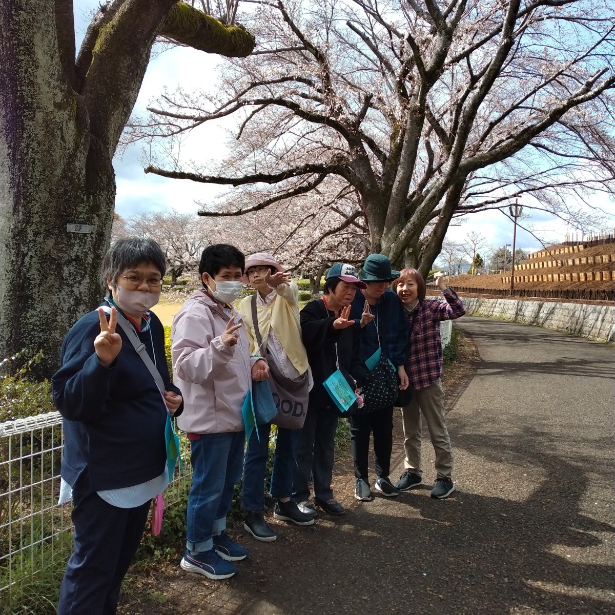 🌸お花見会🌸